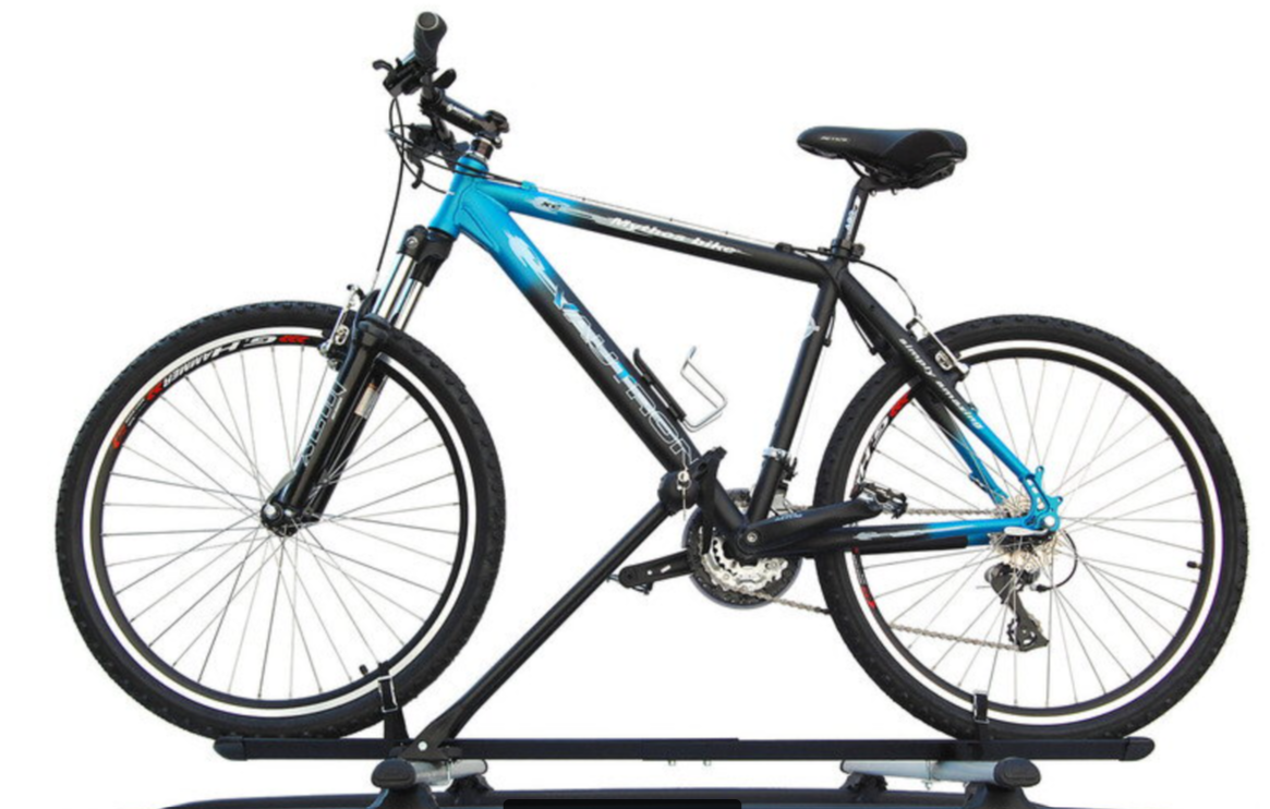 Northline EcoBike