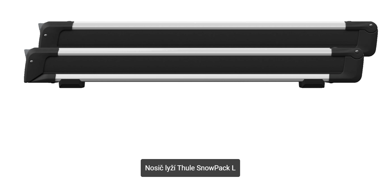 Thule SnowPack L