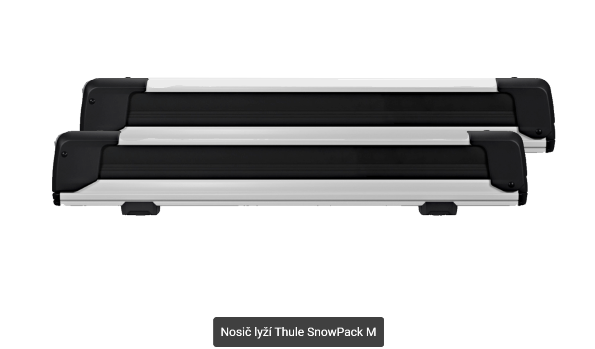 Thule SnowPack M