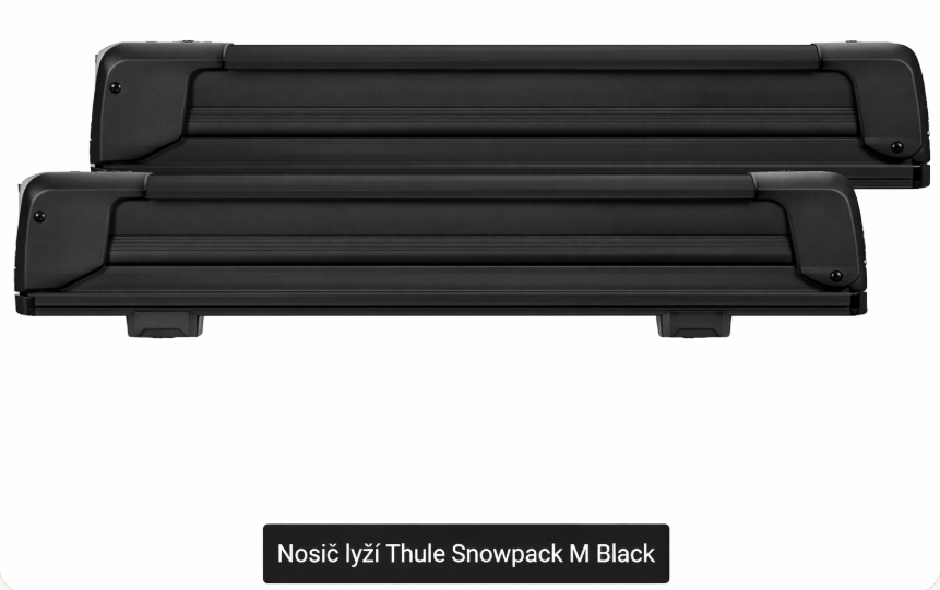 Thule Snowpack M Black