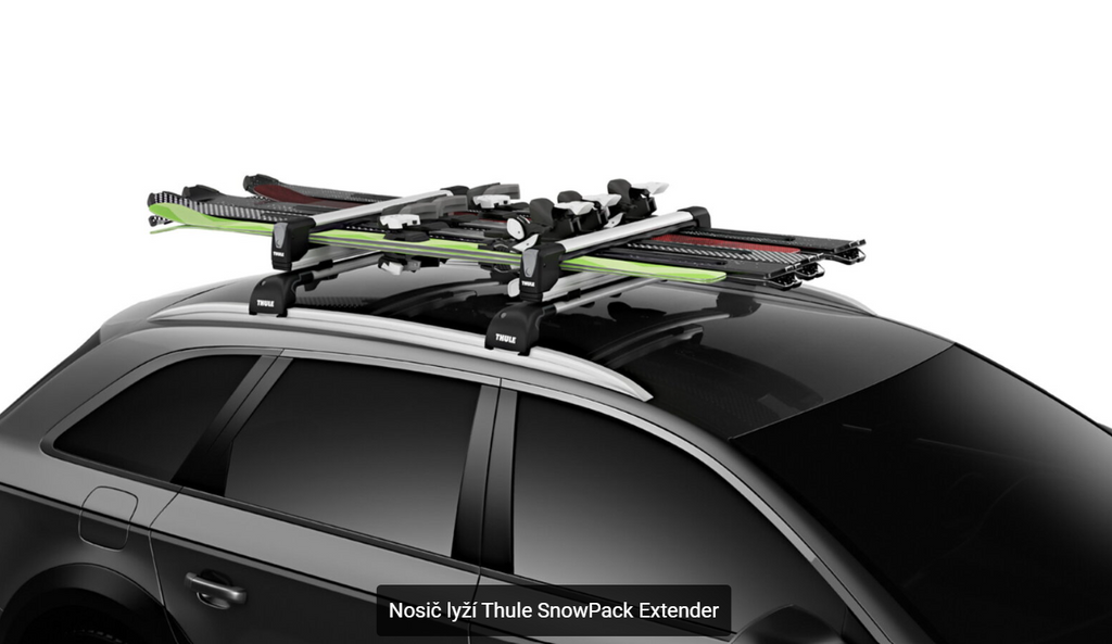 Thule SnowPack Extender