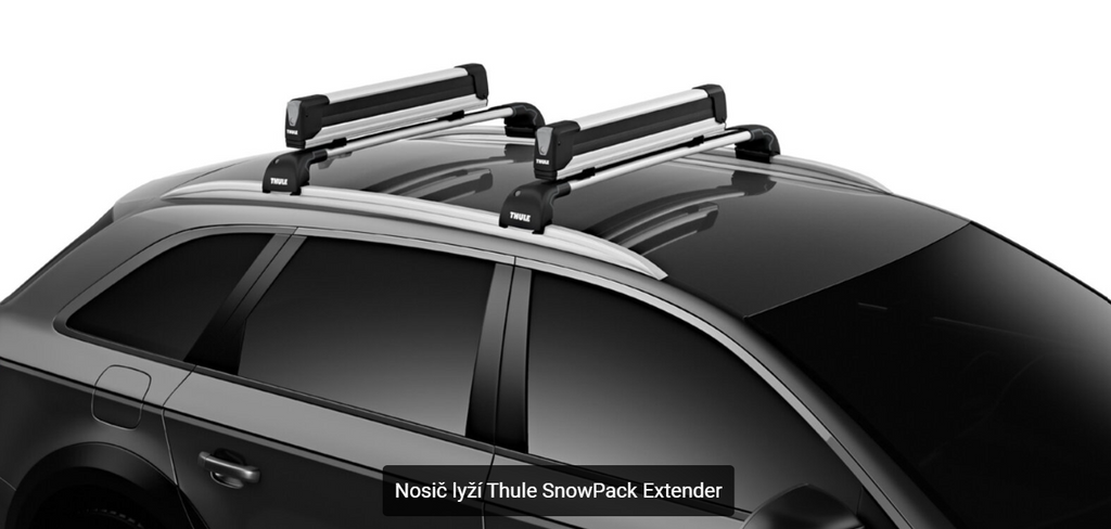 Thule SnowPack Extender