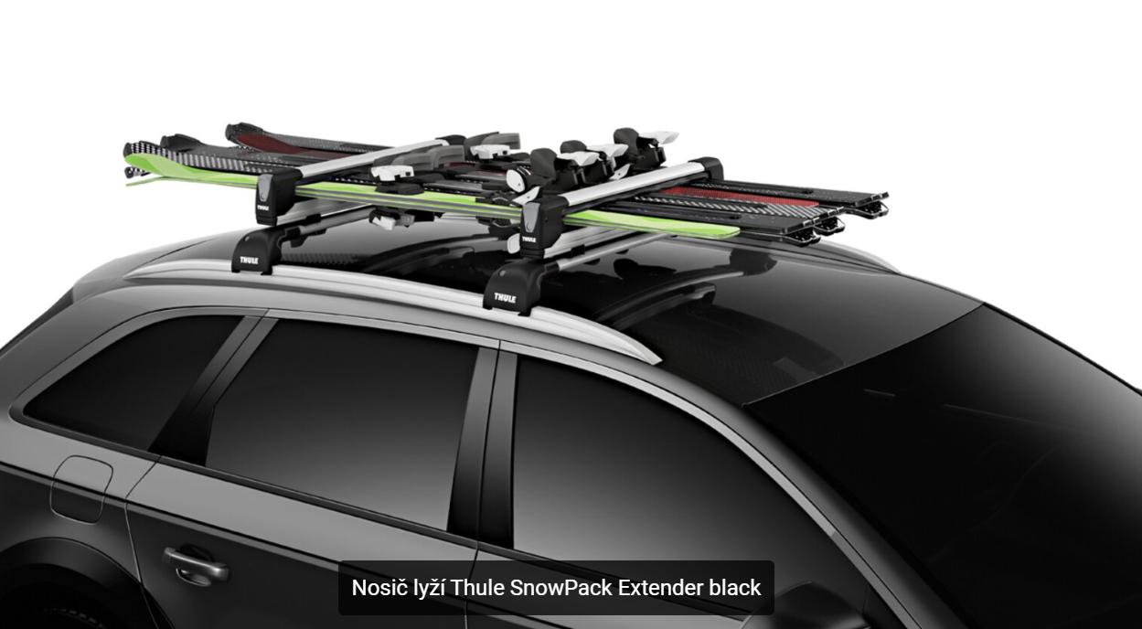 Thule SnowPack Extender black