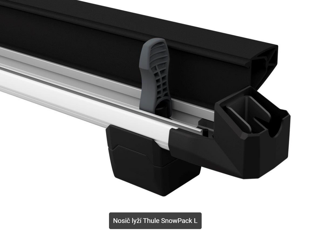Thule SnowPack L