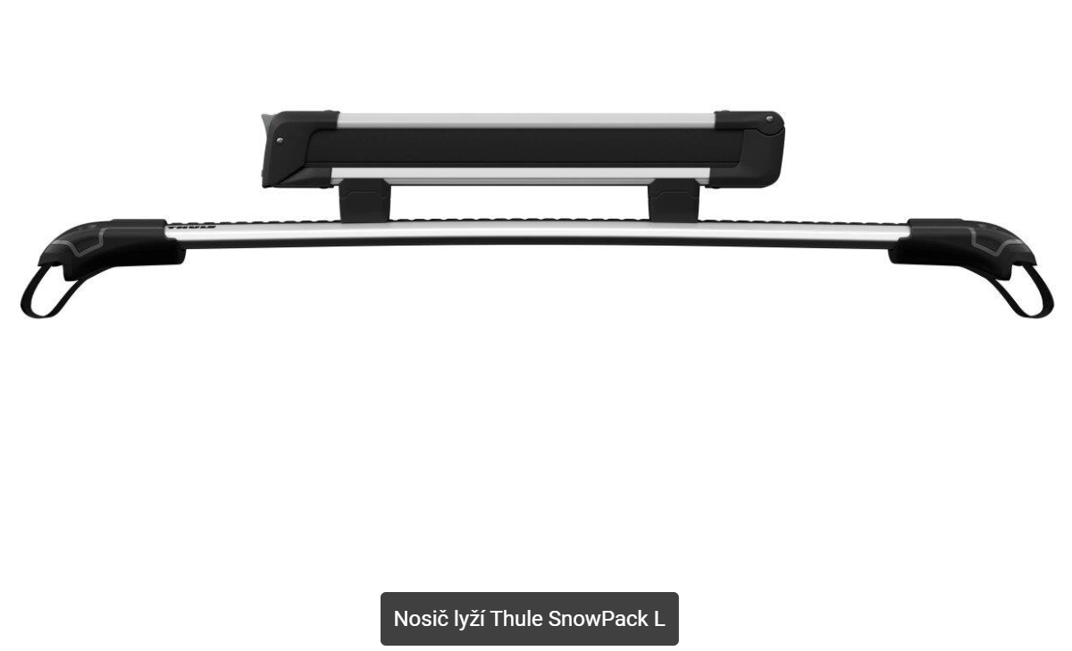 Thule SnowPack L