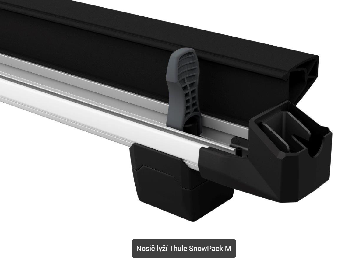 Thule SnowPack M